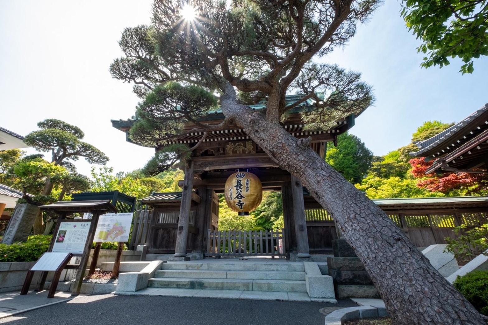Japanese Modern Inn 鎌倉楽庵ハナレ Kamakura Exterior foto